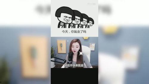 今日吃瓜娱乐直播视频回放,吃瓜娱乐大揭秘,笑料百出精彩瞬间大盘点
