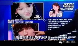 娱乐吃瓜蜀黍广告视频,揭秘娱乐圈幕后故事,带你领略明星幕后生活