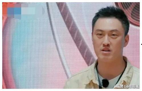 最近娱乐圈吃瓜爆料怎么这么多